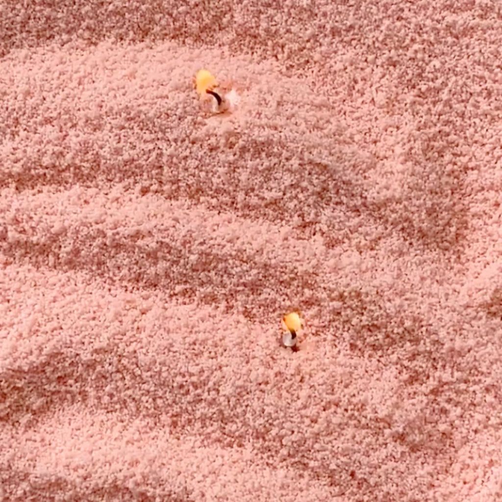 Peach Unscented Candle Sand KG / LBS-2