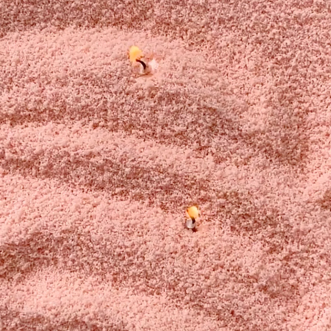 Peach Unscented Candle Sand KG / LBS-2