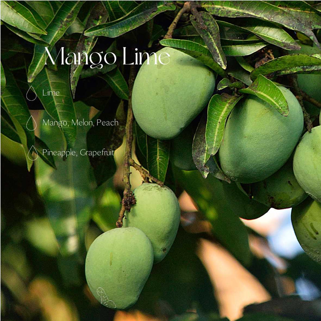 Mango Lime fragrance oil 250ml/8.45oz-0